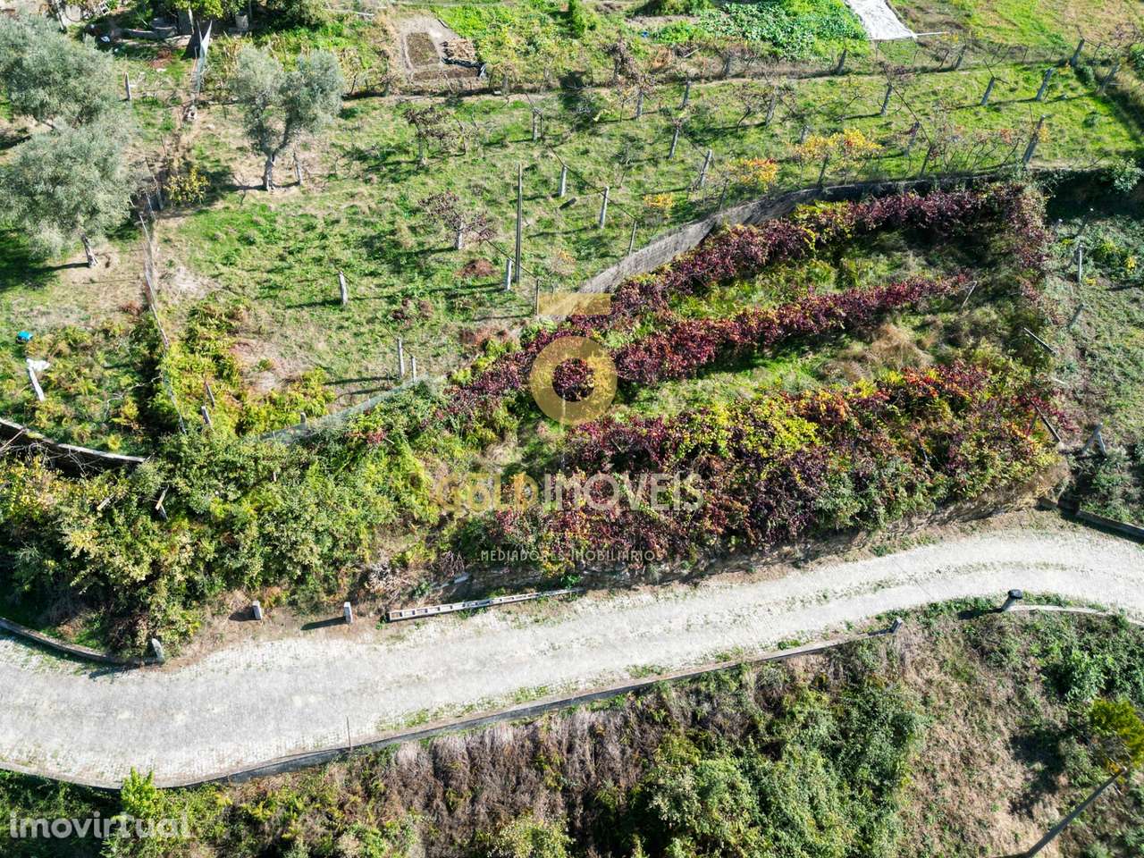 Terreno Para Construção  Venda em Santa Maria de Sardoura,Castelo de P - Grande imagem: 2/7