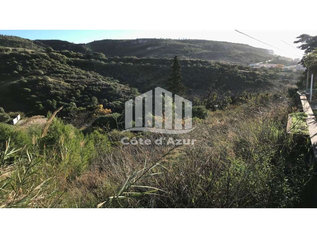 Terreno Urbano Para Loteamento Condomínio Sesimbra - Grande imagem: 3/12