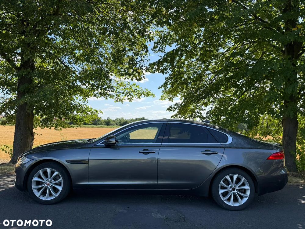 Jaguar XF 20d Prestige - 17