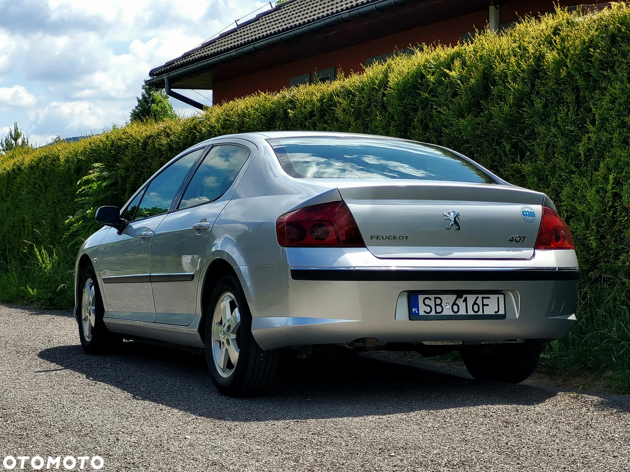 Peugeot 407 1.6 HDI Premium - 2