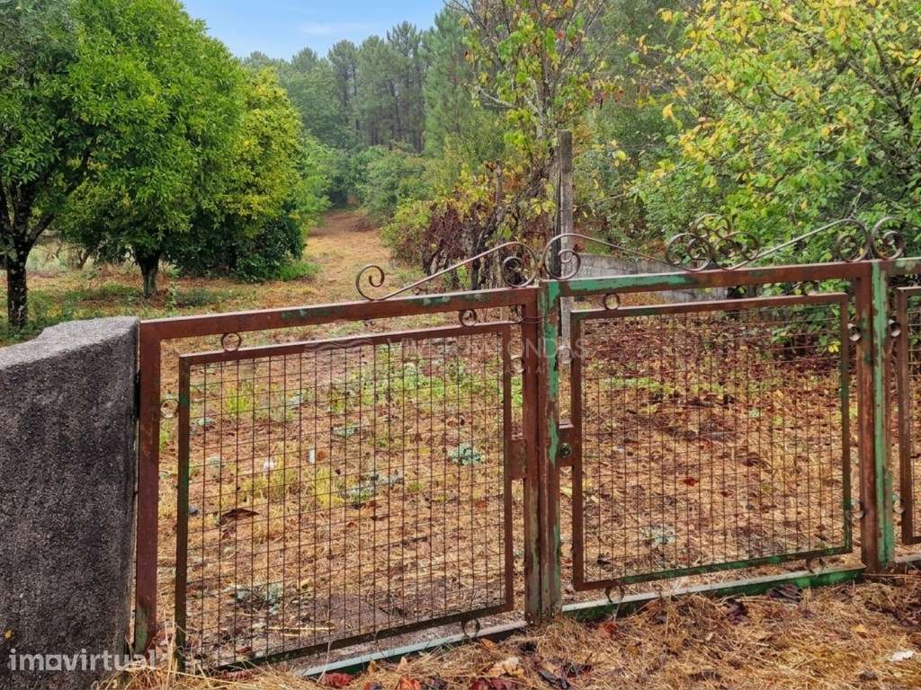 Moradia de Campo para Remodelação Total na Sertã - Grande imagem: 4/25