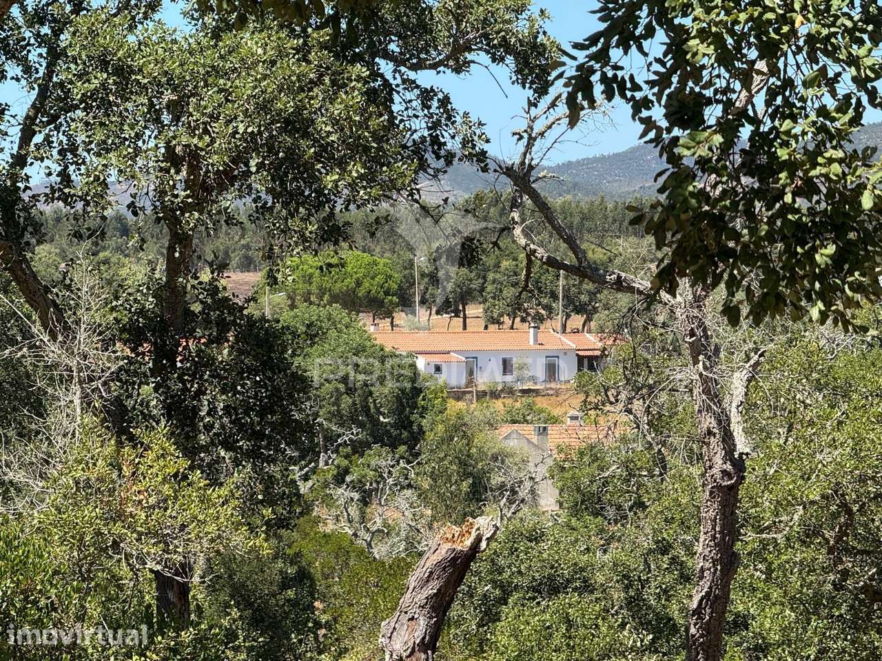 Herdade com 19 ha e 3 montes alentejanos para venda próximo do Rio... - Grande imagem: 2/38