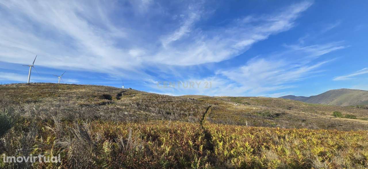 Terreno à venda em Gestaçô, Baião - Oportunidade Única! - Grande imagem: 2/5