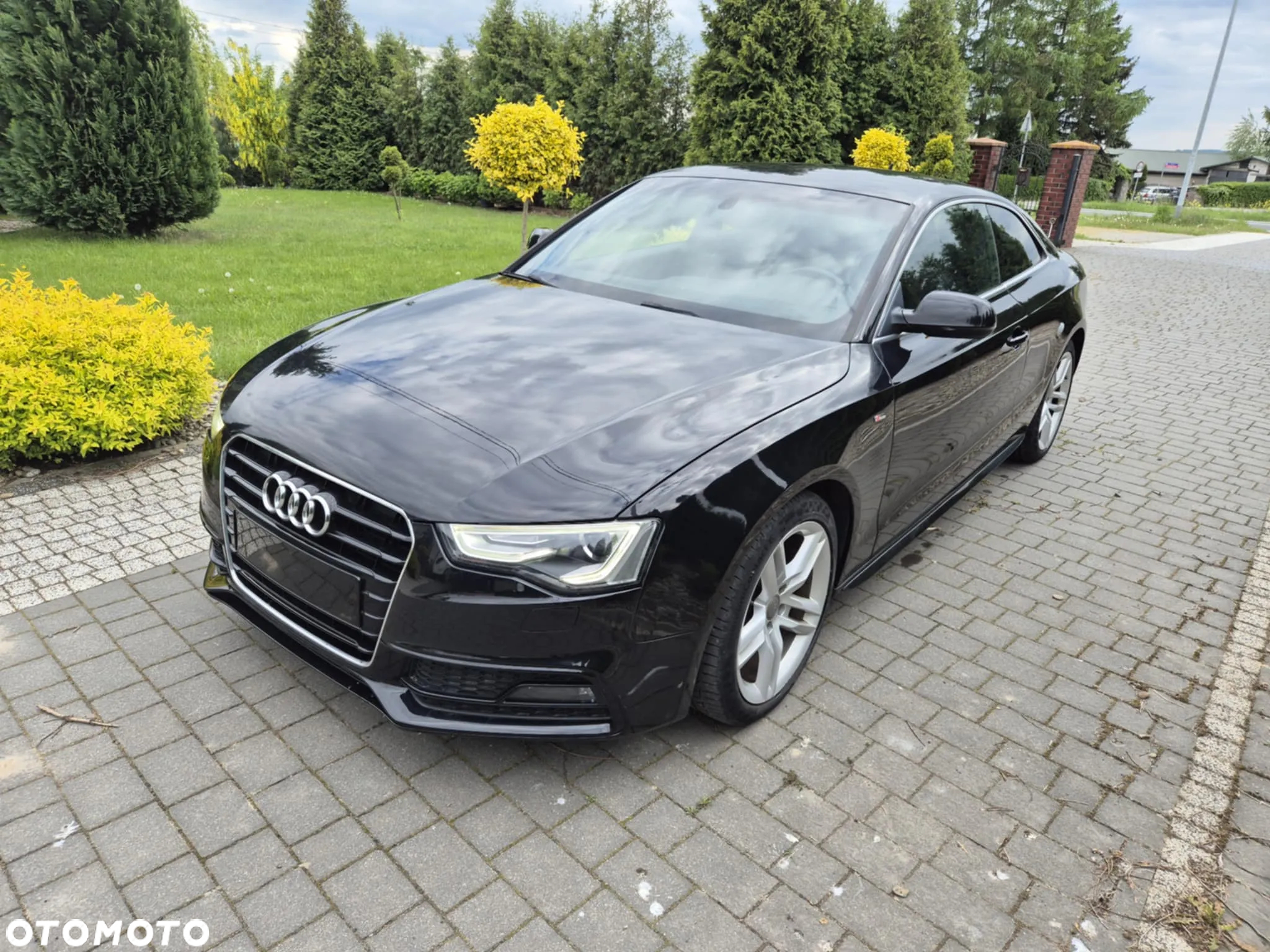 Audi A5 2.0 TDI DPF - 2