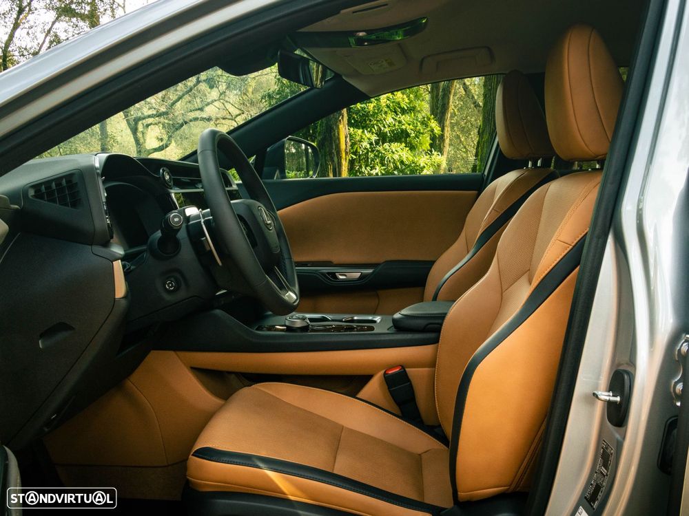 Lexus RZ 300e Premium - 14