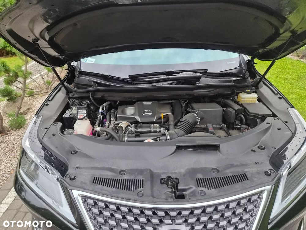 Lexus RX 300 Business Edition - 13