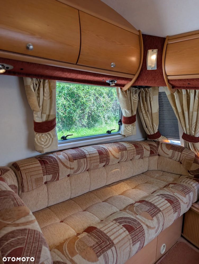 Avondale Golden Avocet - 6