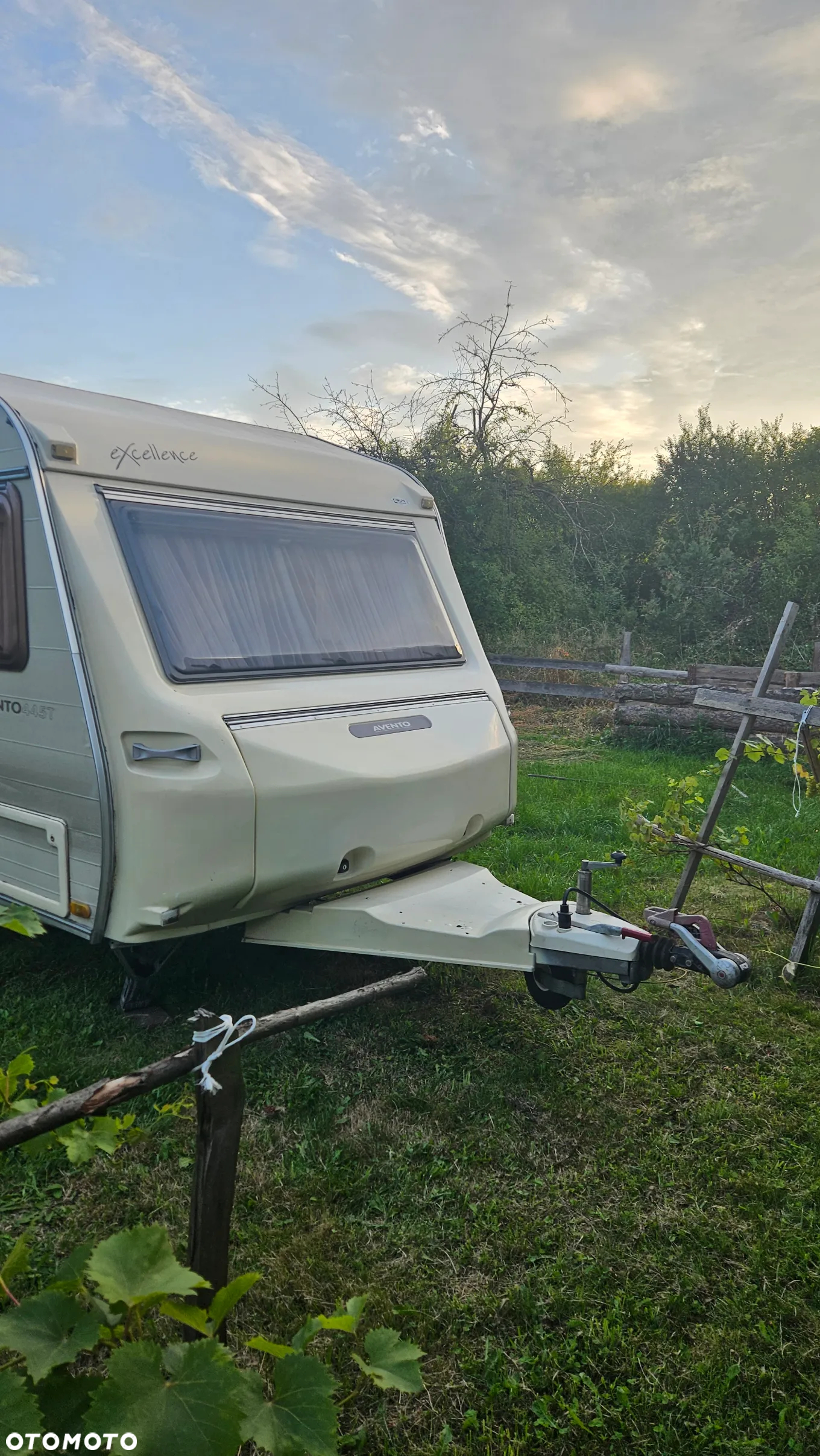 Avento Excellence 445 - 3
