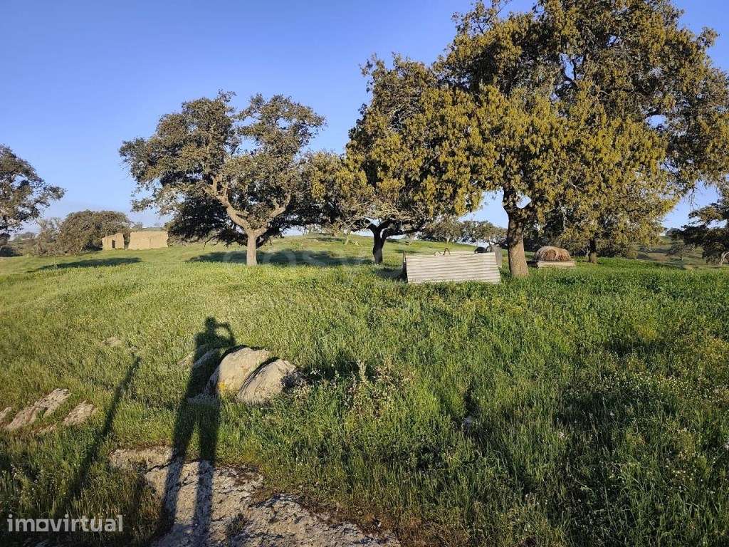 Monte alentejano com área total de 372.344,50 m² (cerca de 37 ha) - Grande imagem: 4/28