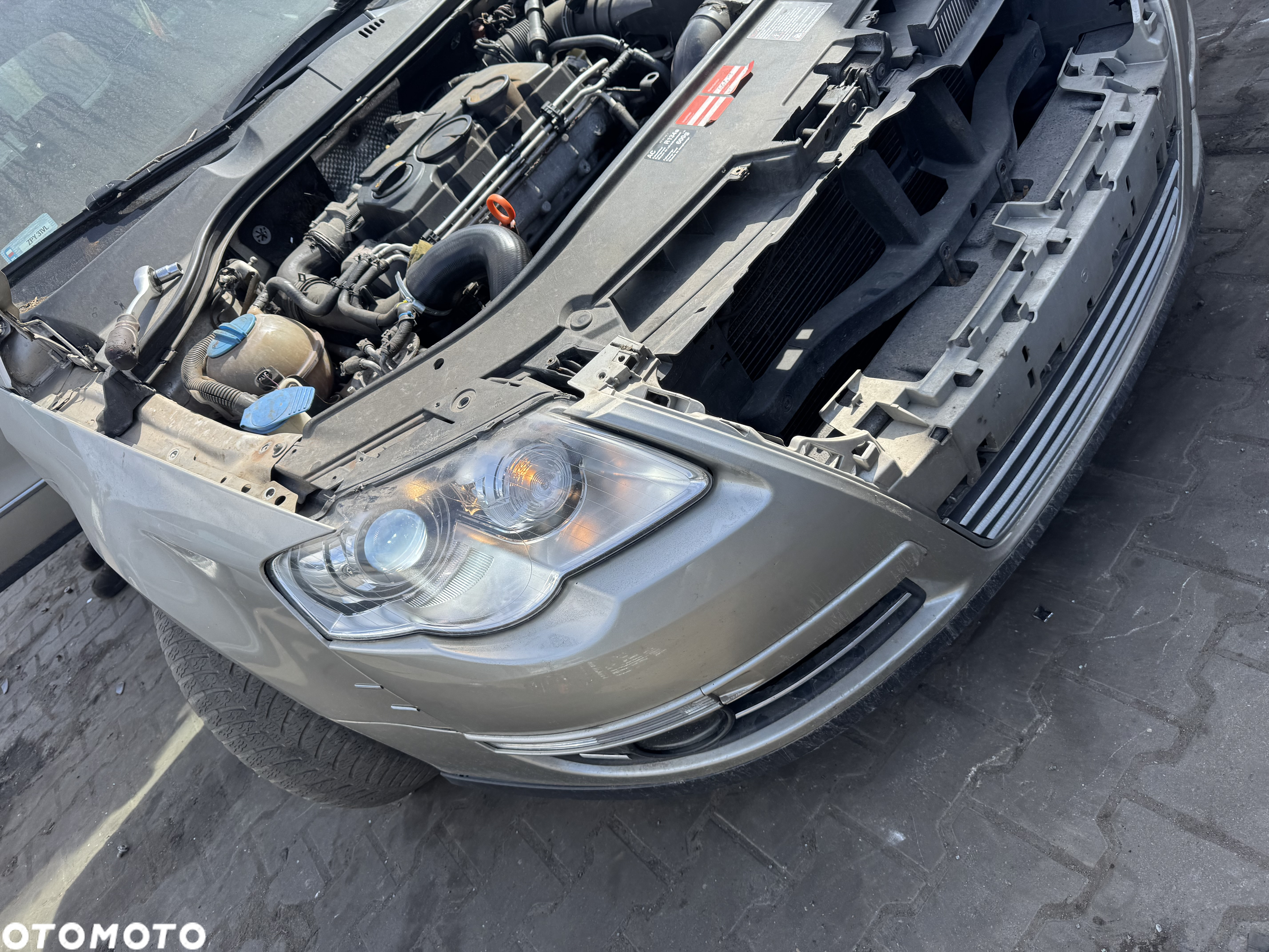 Volkswagen Passat b6 złoty złota maska drzwi pas przedni lampa bi xenon lampy bi xenon błotnik prawy lewy lusterko prawe lewe zderzak przód przedni LD1M LD1W - 5
