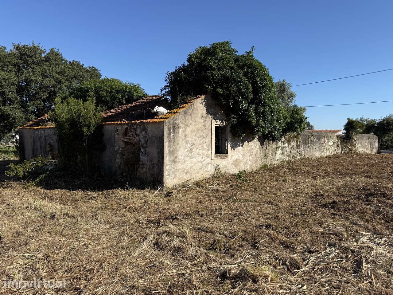 Terreno com casa e anexo para restaurar - Turquel, Alcobaça - Grande imagem: 4/30