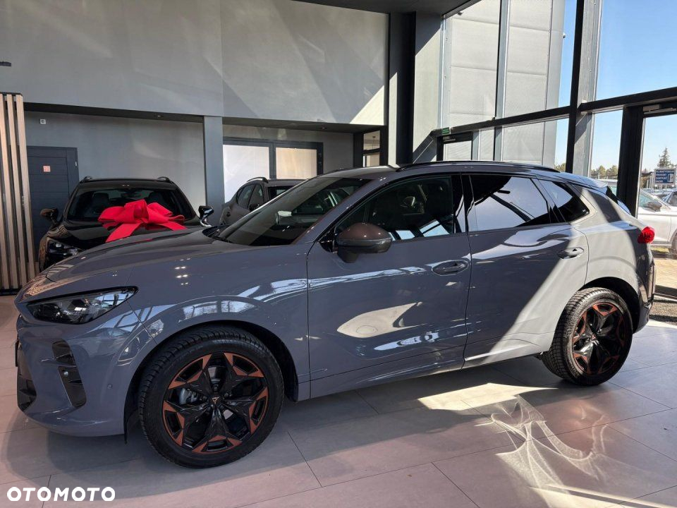 Cupra Terramar - 8