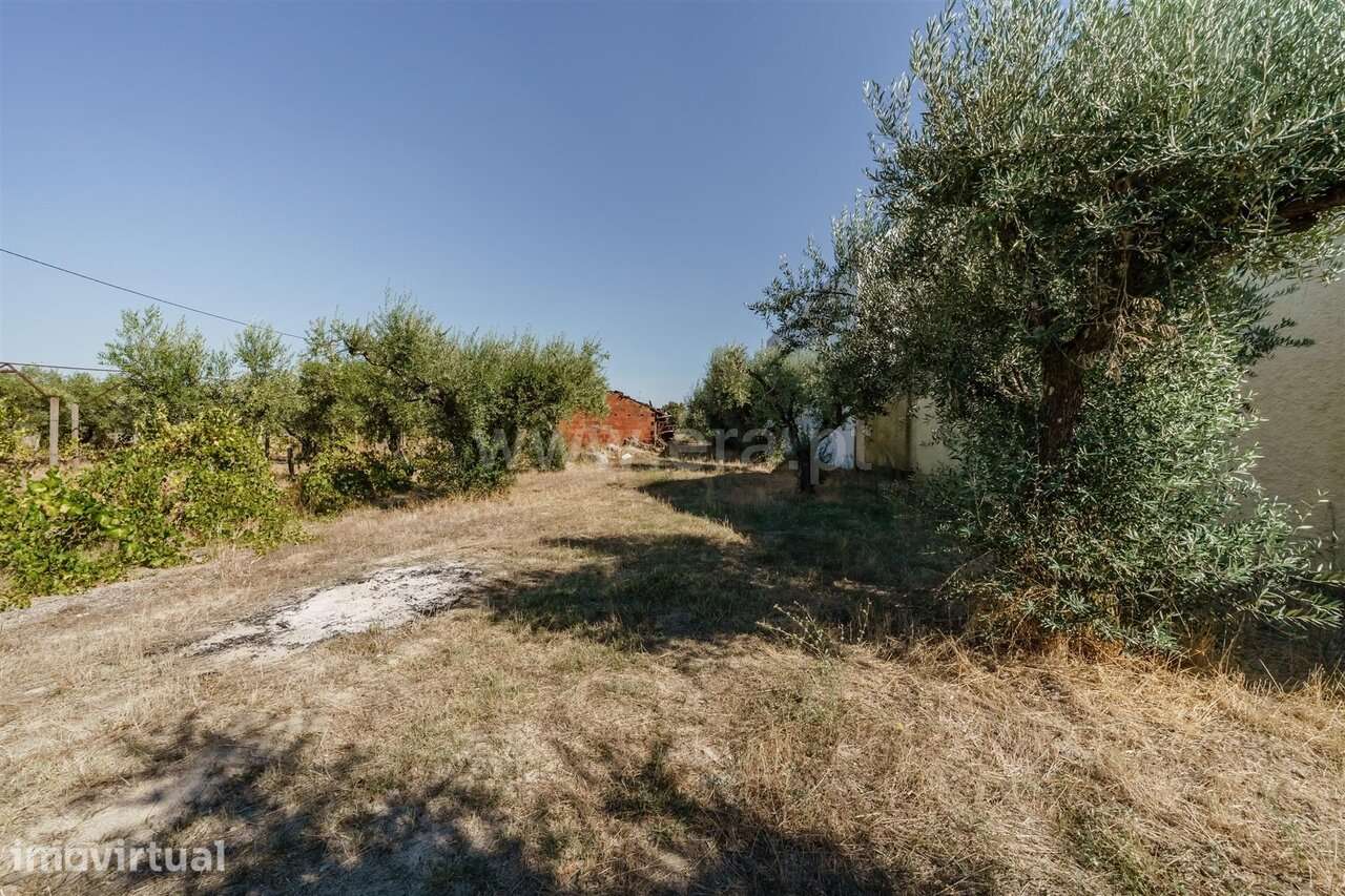Terreno para Construção / Fundão, Valverde - Grande imagem: 3/18