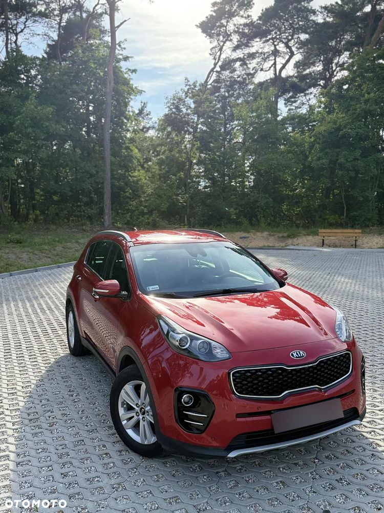 Kia Sportage 1.6 T-GDI Business Line 4WD DCT - 8