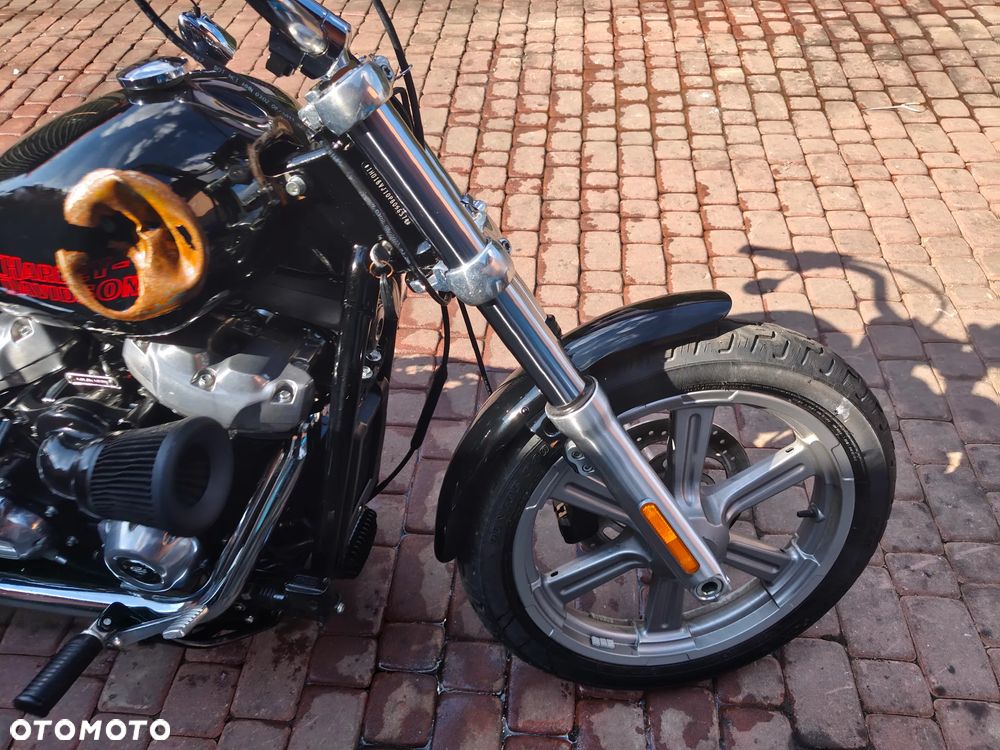 Harley-Davidson Softail Standard - 6