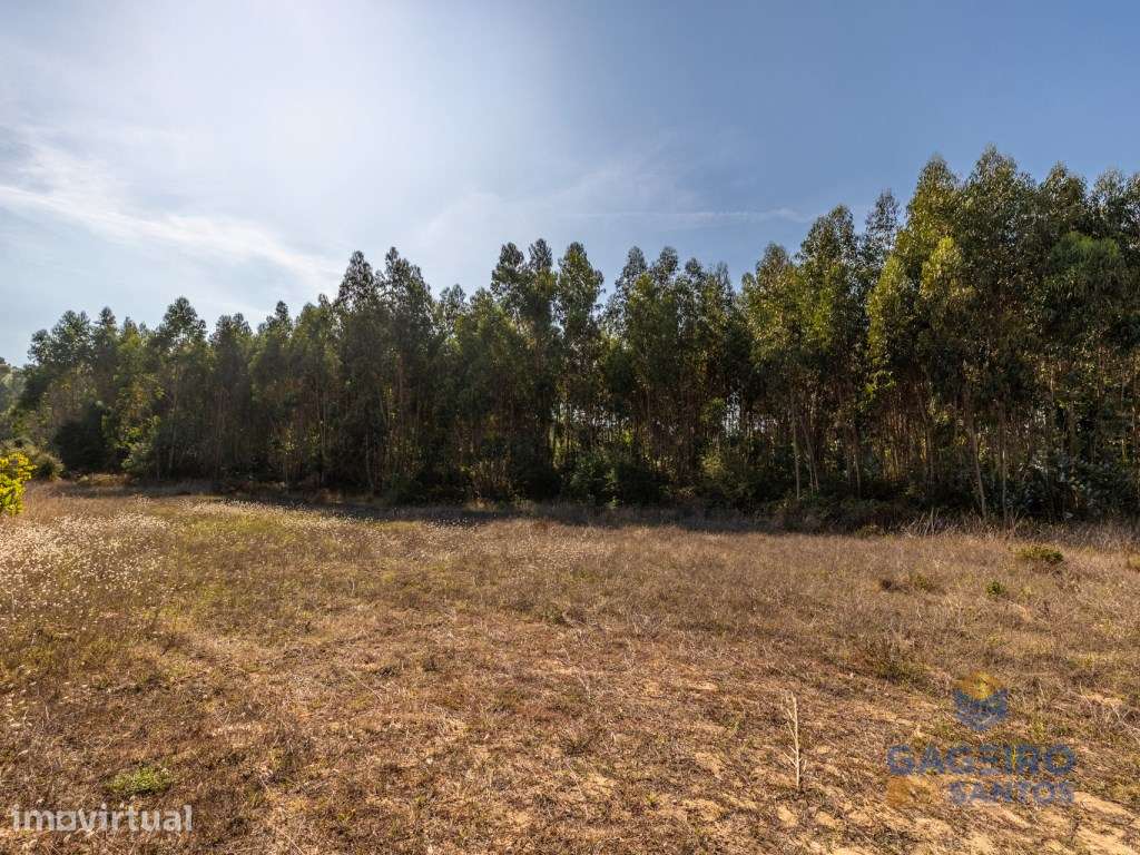 Terreno para construção em Vale Maceira, Alfeizerão - Grande imagem: 3/15