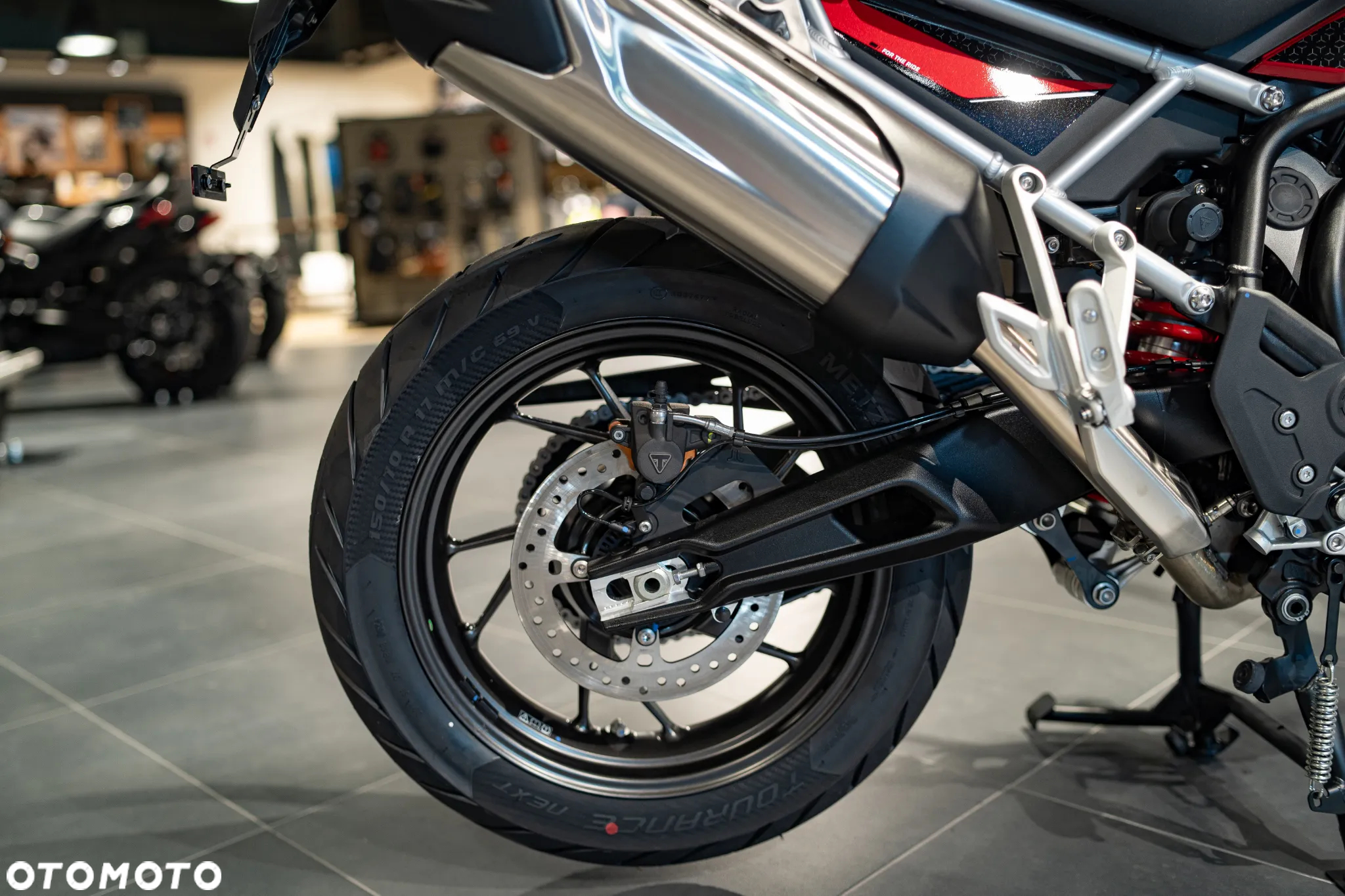 Triumph Tiger - 21