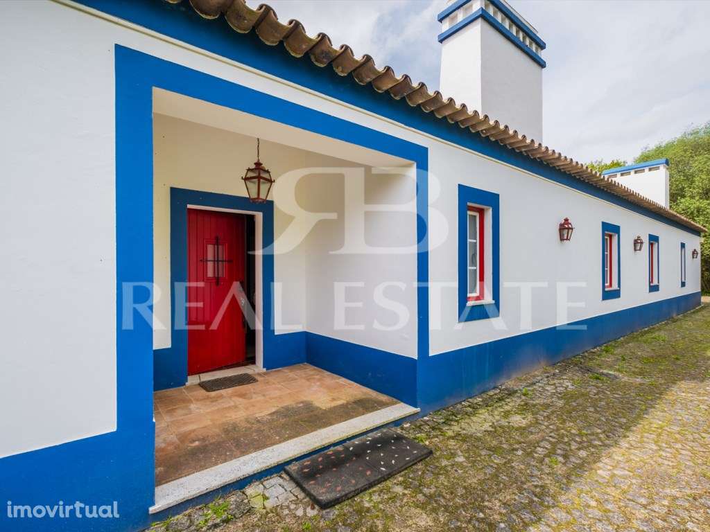 Propriedade no Alentejo | Montemor-o-Novo | A uma hora de Lisboa - Grande imagem: 5/31