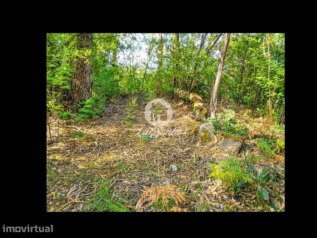 Terreno em Barcelos - Grande imagem: 4/22