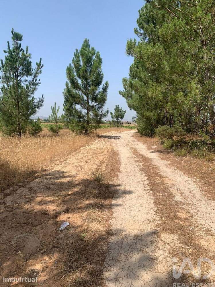 Terreno para construção em Poceirão e Marateca - Grande imagem: 4/29