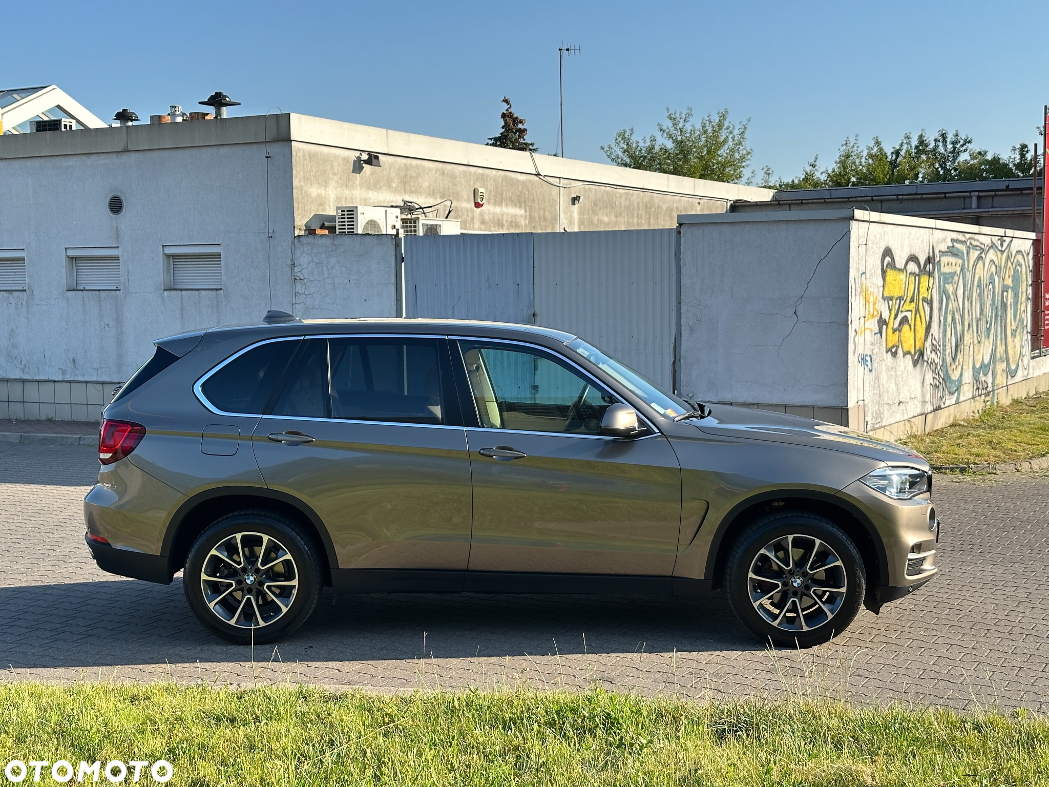 BMW X5 xDrive25d - 19