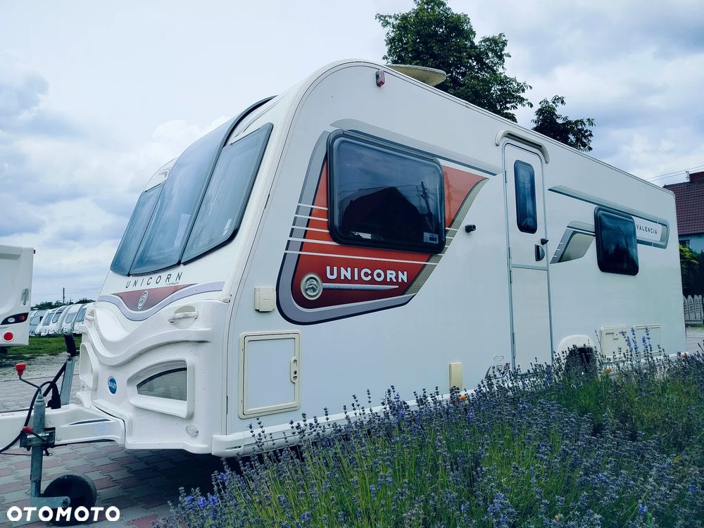 Bailey Unicorn Valencia - 5