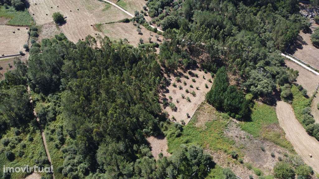 Venda Terreno - Grande imagem: 4/16