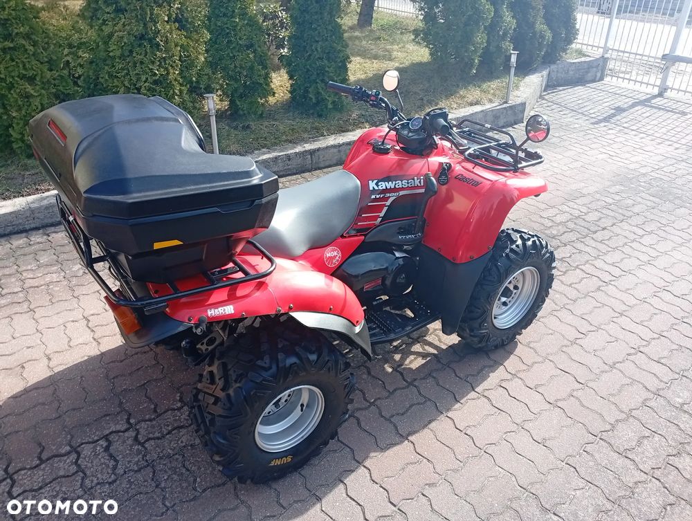Kawasaki Brute Force - 3
