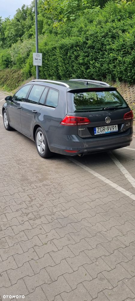Volkswagen Golf - 7