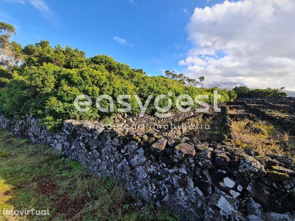 Terreno com possibilidade de construção nas Bandeiras, ilha do Pico - Grande imagem: 4/24