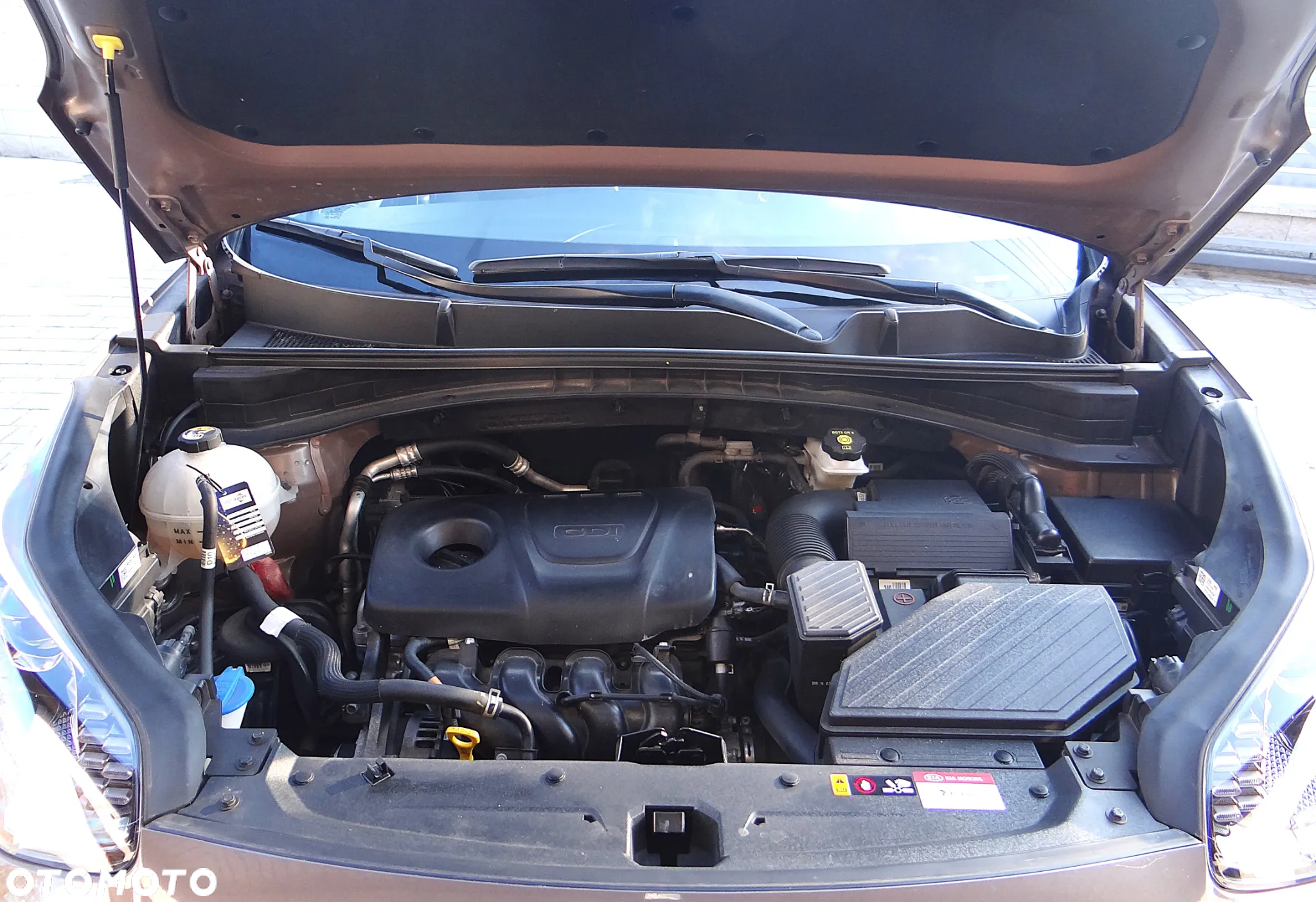 Kia Sportage 1.6 GDI Business Line 2WD - 16