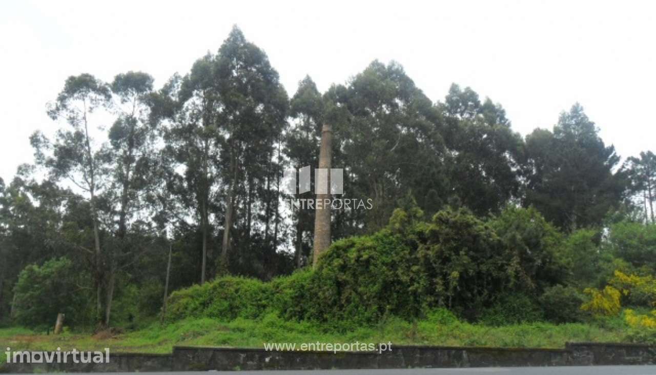 Venda de terreno, Campos, Vila Nova de Cerveira - Grande imagem: 2/30