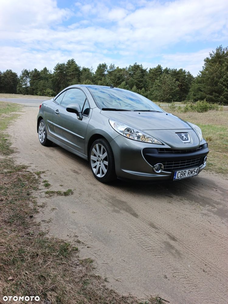 Peugeot 207 - 24