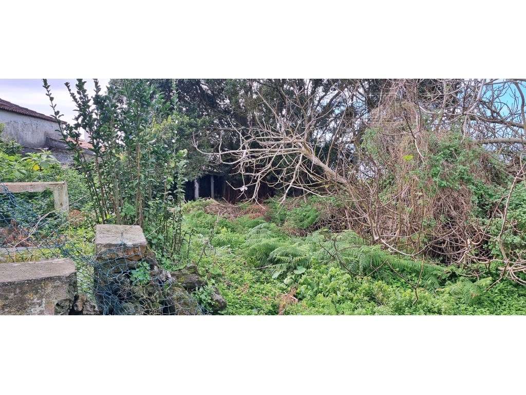 VENDA de CASA - MORADIA para reabilitar - São Bartolomeu de Regatos... - Grande imagem: 3/8