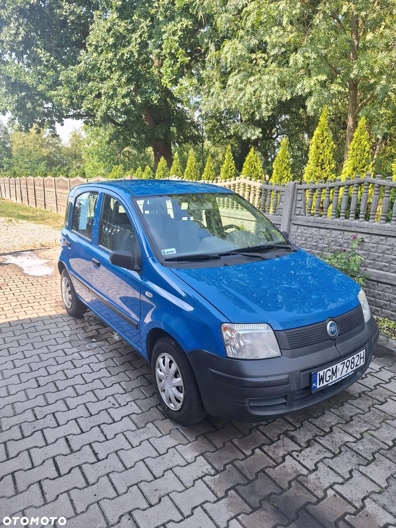 Fiat Panda - 1