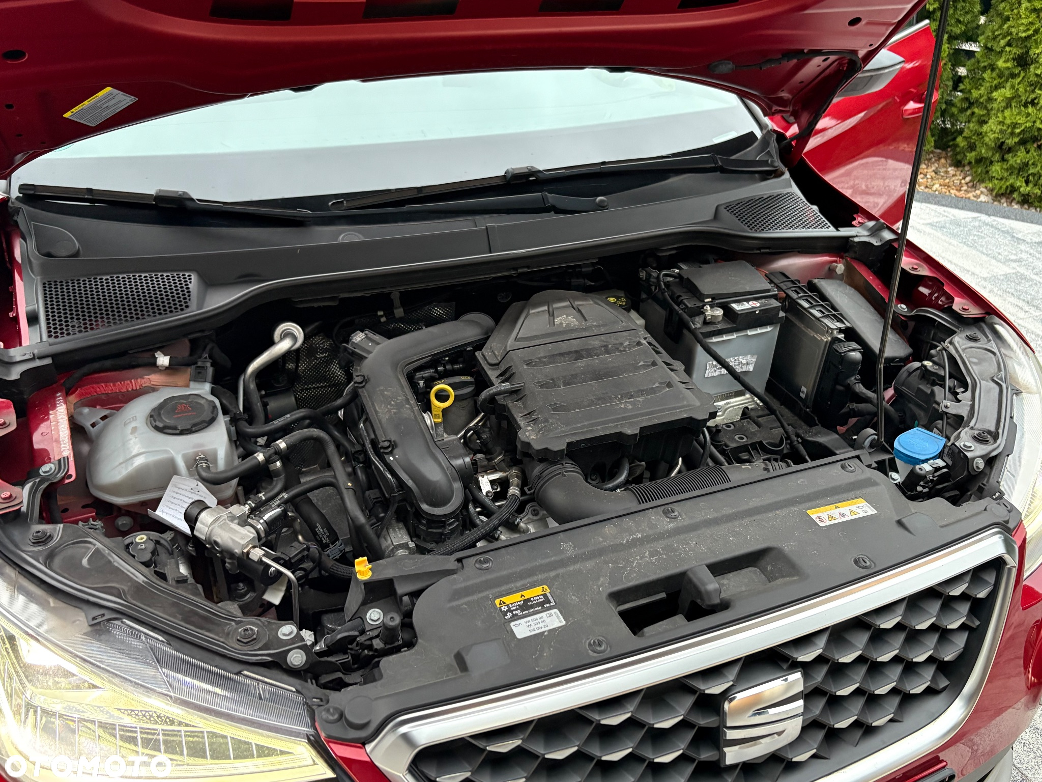 Seat Arona 1.0 TGI Xperience - 38