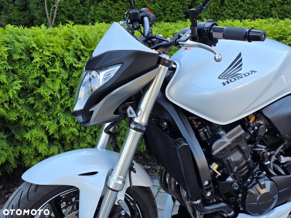 Honda Hornet - 21