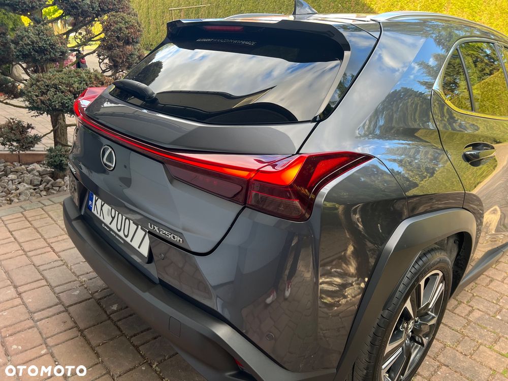Lexus UX 250h GPF Business 2WD - 13