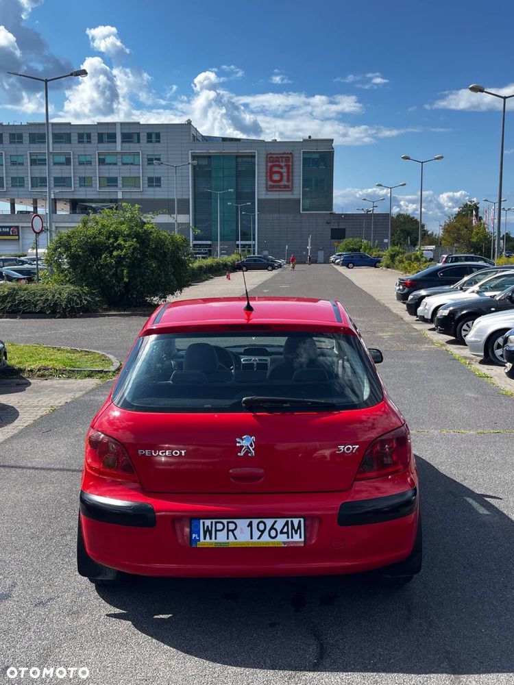 Peugeot 307 - 5