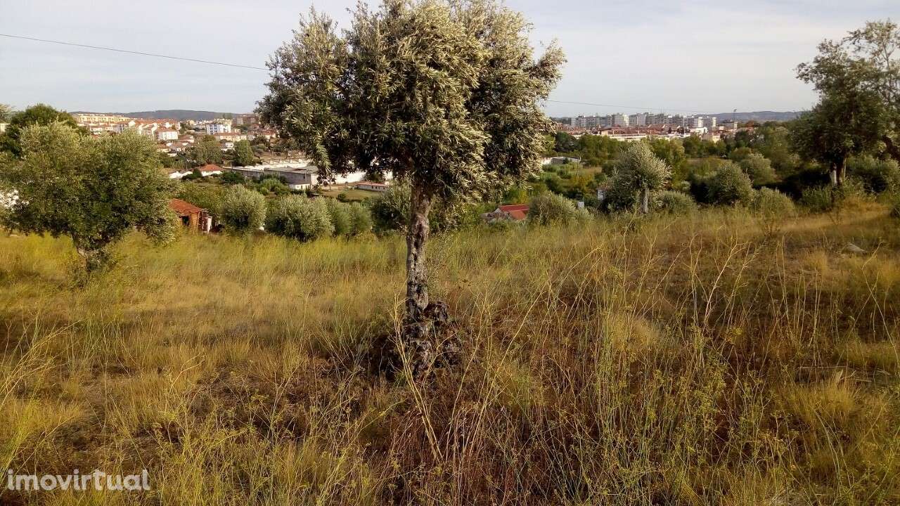 Terreno p/Construção - T2735/21 - Grande imagem: 4/6