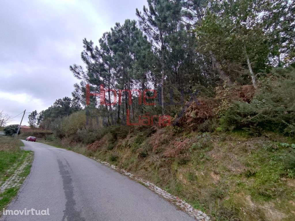 Terreno em Castro Daire - Grande imagem: 2/13