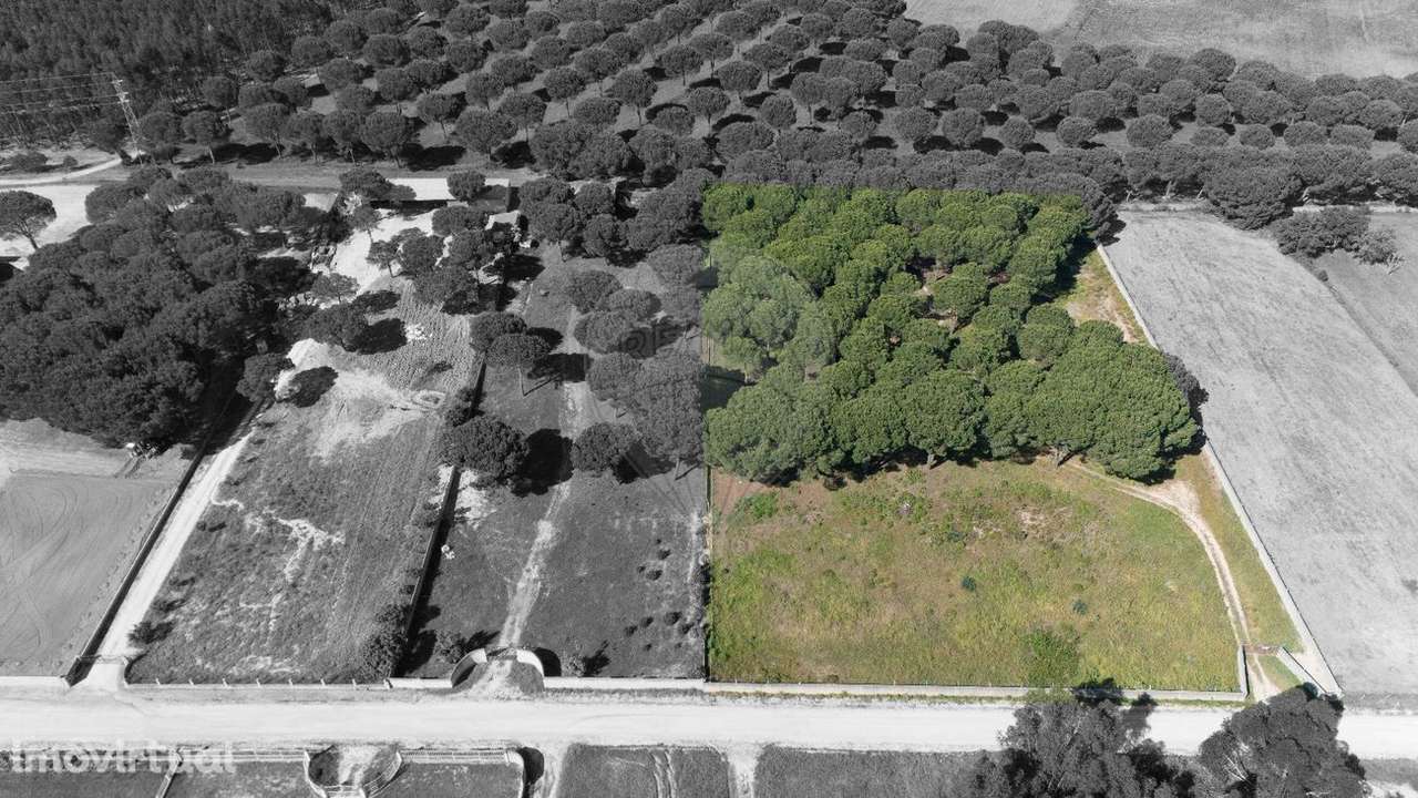 Terreno  para venda - Grande imagem: 2/5