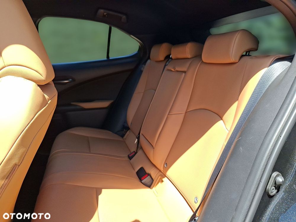 Lexus UX - 14