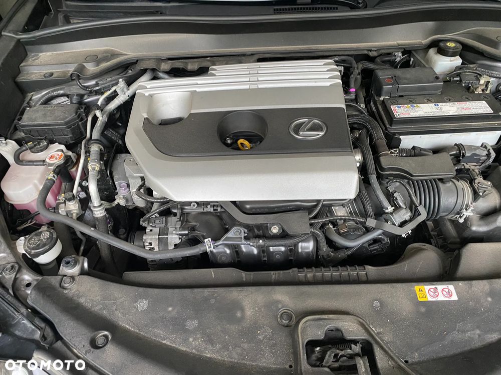 Lexus UX - 15