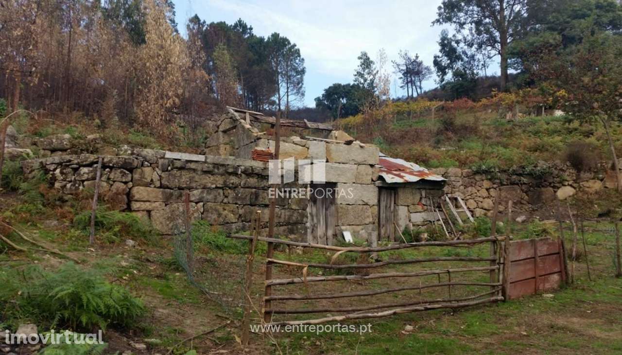 Venda Quinta, Penhalonga, Marco de Canaveses - Grande imagem: 5/13