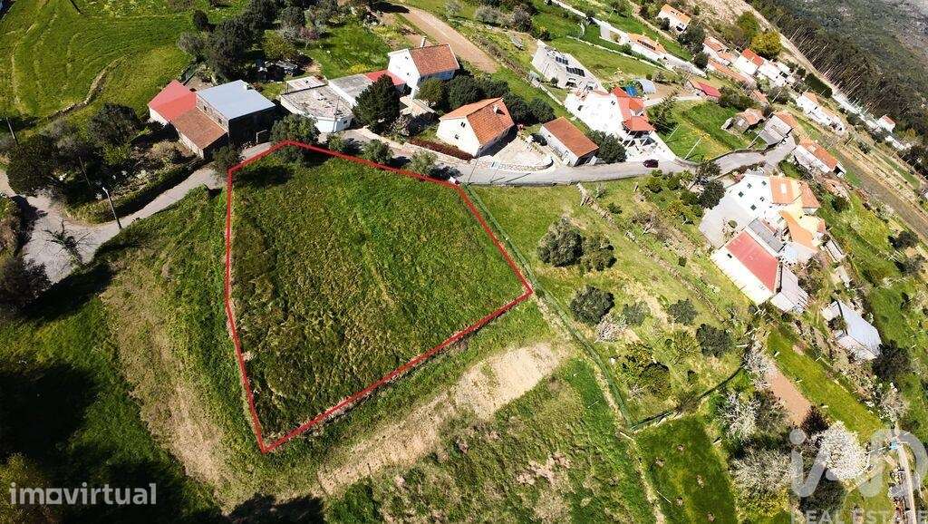 Terreno Agrícola em Montaria - Grande imagem: 2/11
