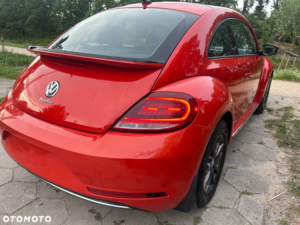 Volkswagen Beetle - 38