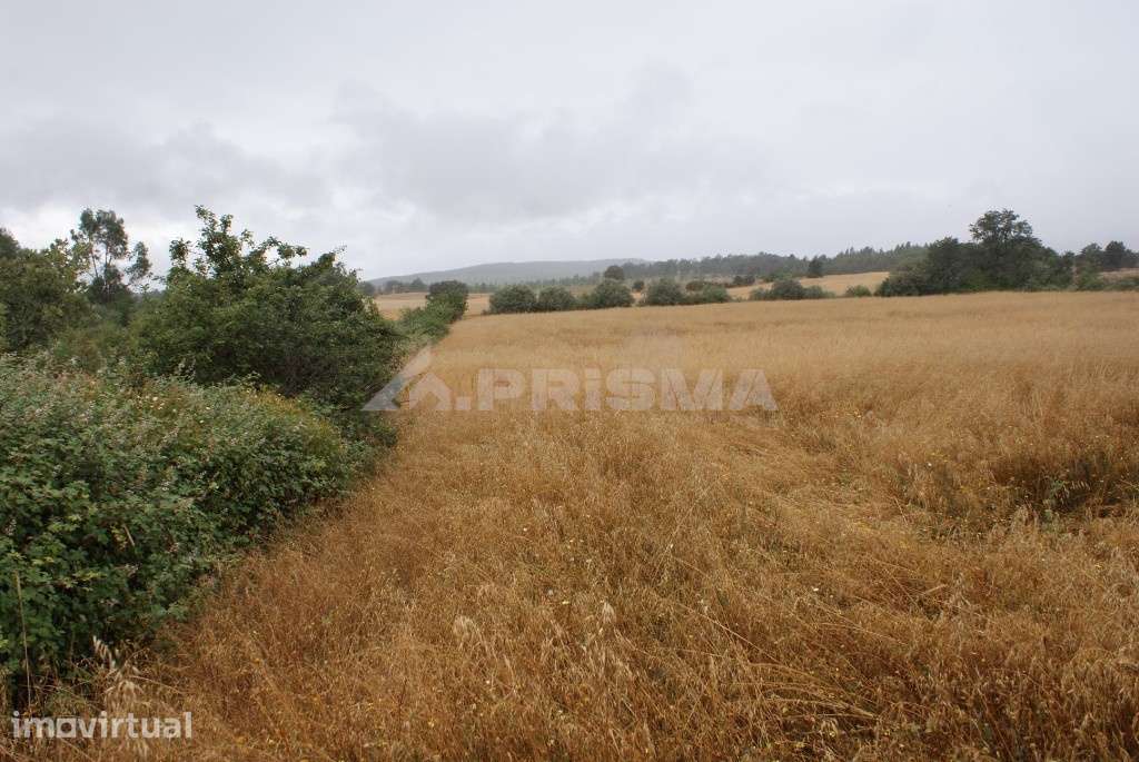 Terreno agrícola para venda - Grande imagem: 2/6