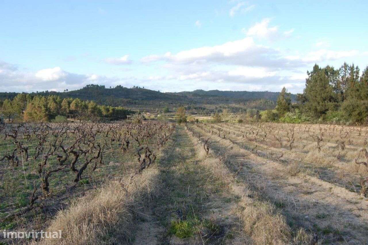 Terreno / Fundão, Três Povos - Grande imagem: 2/3