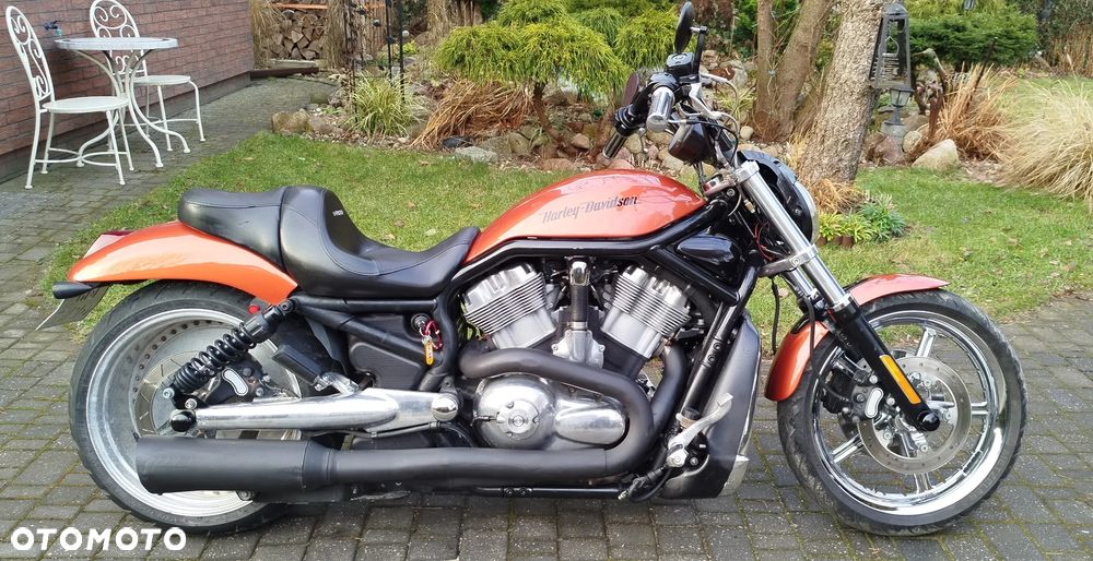 Harley-Davidson Softail V-Rod - 1